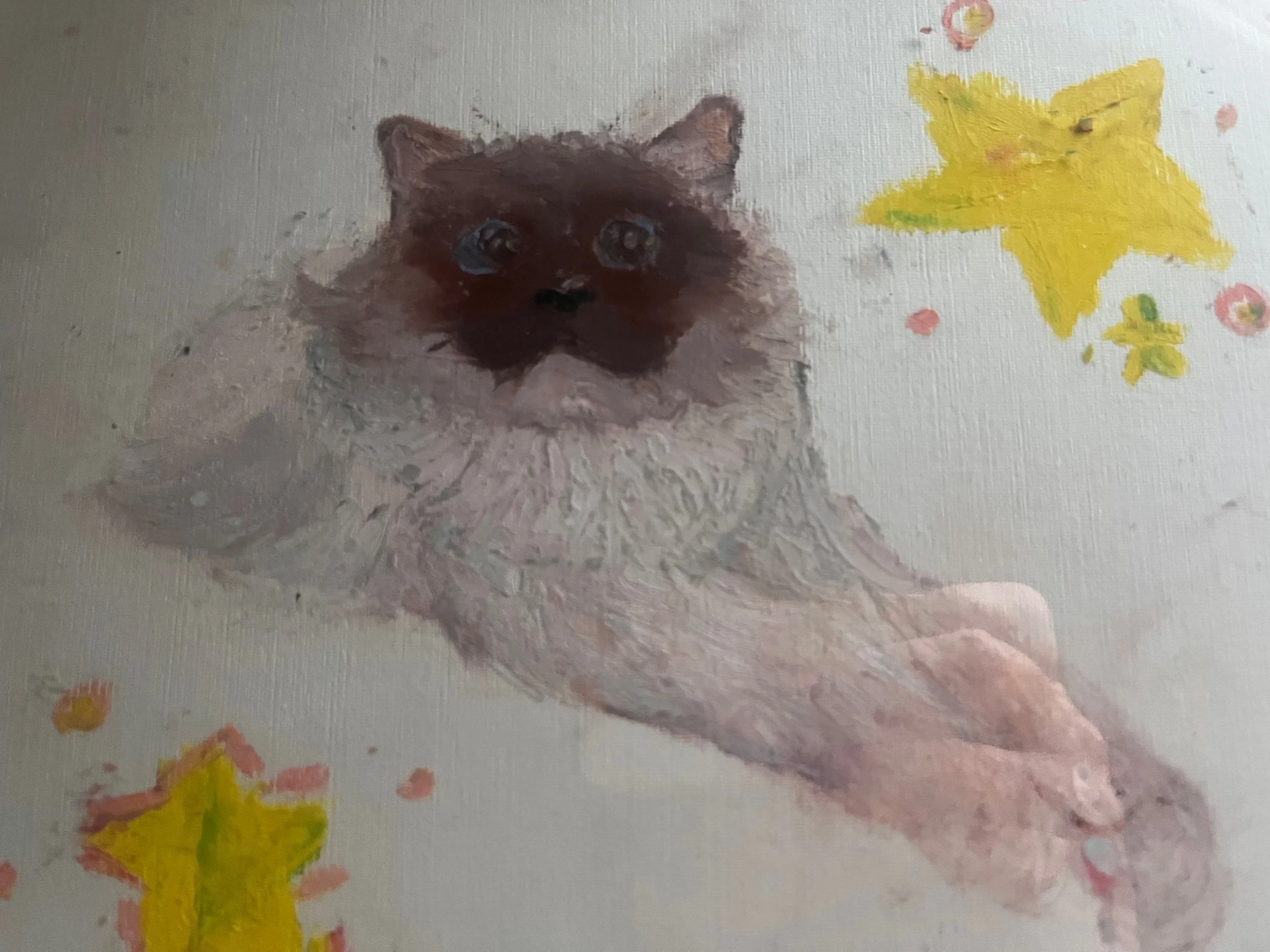 Fluffy gray cat surrounded by yellow stars in oil pastel